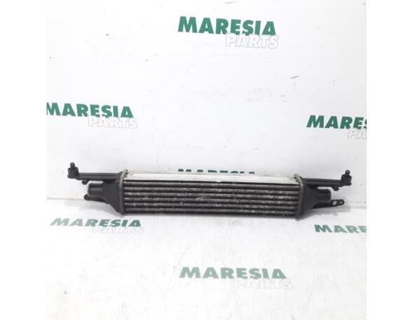 Interkoeler tussenkoeler FIAT Grande Punto (199), FIAT Punto (199), FIAT Punto Evo (199)