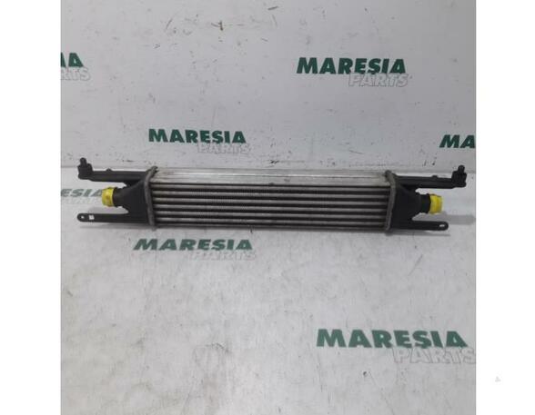 Intercooler FIAT Grande Punto (199), FIAT Punto (199), FIAT Punto Evo (199)