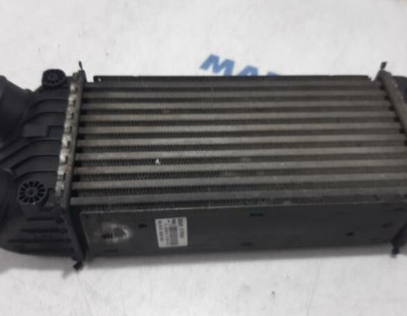 Intercooler PEUGEOT 207 (WA, WC)