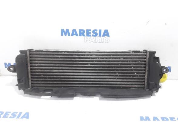 Intercooler RENAULT Trafic II Kasten (FL)