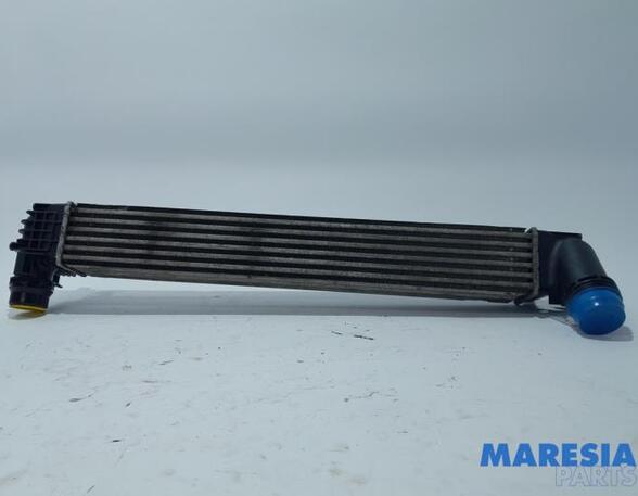 Intercooler RENAULT Grand Scénic III (JZ0/1), RENAULT Scénic III (JZ0/1)