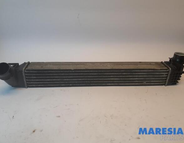 Intercooler RENAULT MEGANE III Grandtour (KZ0/1)