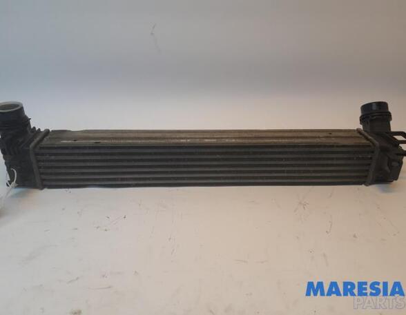 Intercooler RENAULT MEGANE III Grandtour (KZ0/1)