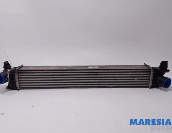 Intercooler CITROËN JUMPER Van, PEUGEOT BOXER Van, FIAT DUCATO Van (250_, 290_), FIAT DUCATO Bus (250_, 290_)