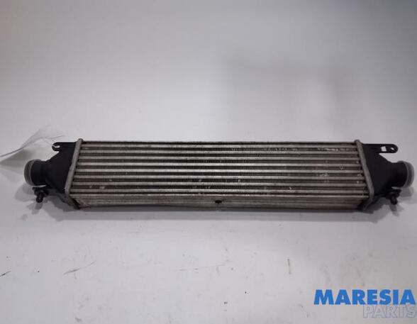 Intercooler FIAT DOBLO Cargo (263_)