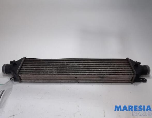 Intercooler FIAT DOBLO Cargo (263_)