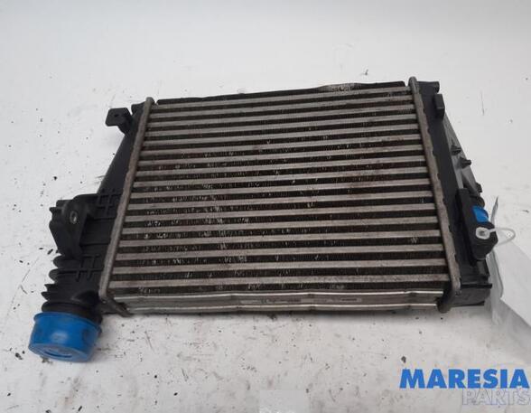 Intercooler PEUGEOT EXPERT Van (V_)