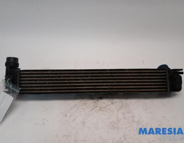 Intercooler RENAULT MEGANE III Coupe (DZ0/1_)