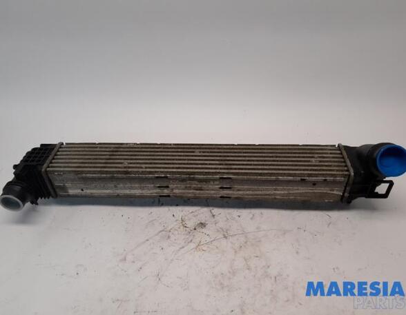 Intercooler RENAULT MEGANE III Coupe (DZ0/1_)