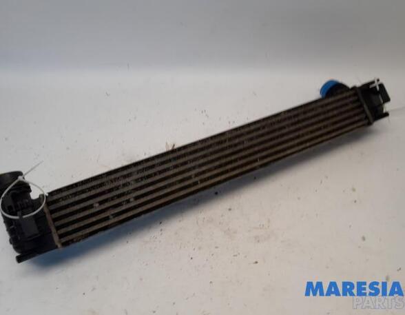 Intercooler RENAULT Scénic III (JZ0/1), RENAULT Grand Scénic III (JZ0/1)