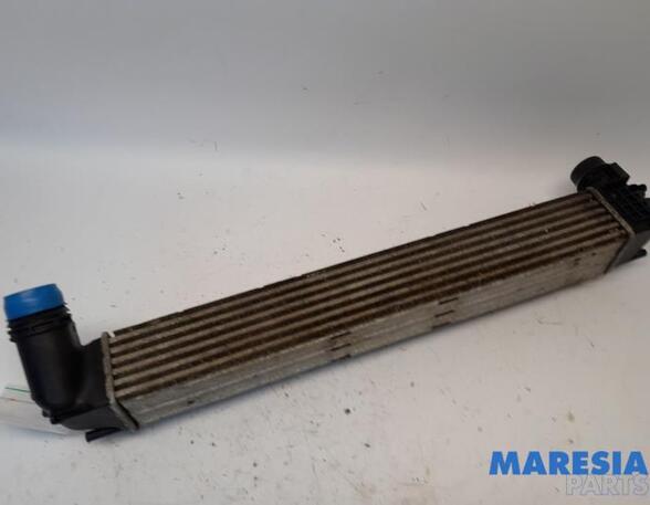 Intercooler RENAULT Scénic III (JZ0/1), RENAULT Grand Scénic III (JZ0/1)