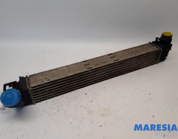 Intercooler RENAULT Scénic III (JZ0/1), RENAULT Grand Scénic III (JZ0/1)