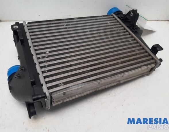 Intercooler PEUGEOT Expert Kasten (V)