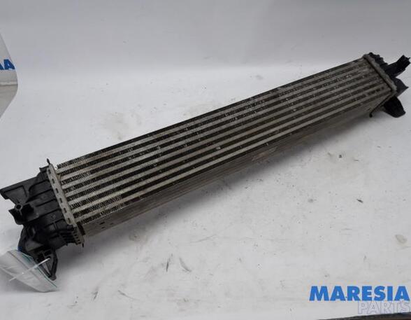 Intercooler FIAT Ducato Kasten (250, 290), FIAT Ducato Bus (250, 290), PEUGEOT Boxer Kasten (--)