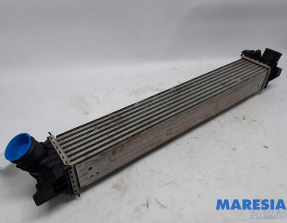 Intercooler FIAT Ducato Kasten (250, 290), FIAT Ducato Bus (250, 290), PEUGEOT Boxer Kasten (--)