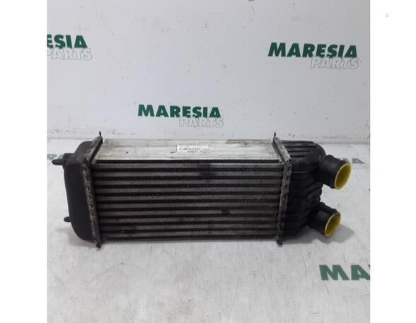 Intercooler CITROËN C3 PICASSO (SH_)