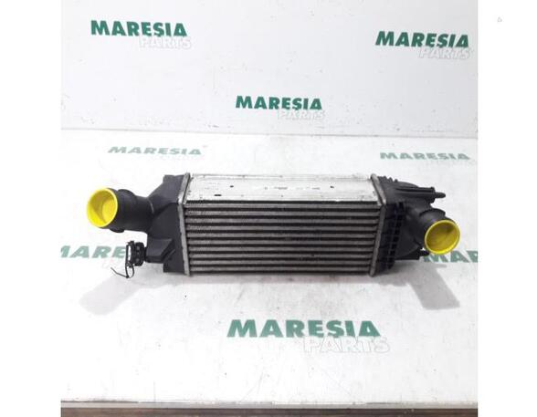 Intercooler CITROËN C5 III Break (RW_), PEUGEOT 407 Coupe (6C_), CITROËN C5 III (RD_)