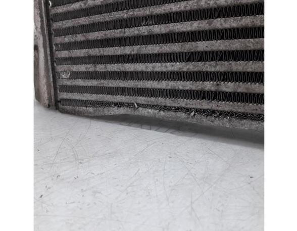 Intercooler FIAT DUCATO Van (250_, 290_)