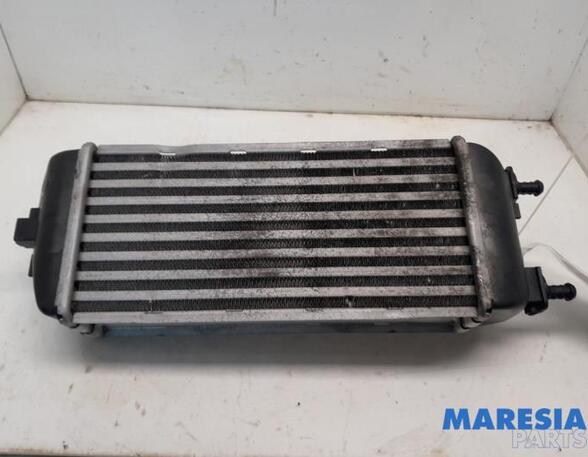 Intercooler FIAT 500 (312_), FIAT 500 C (312_), FIAT PANDA (312_, 319_), FIAT PANDA VAN (312_, 519_)