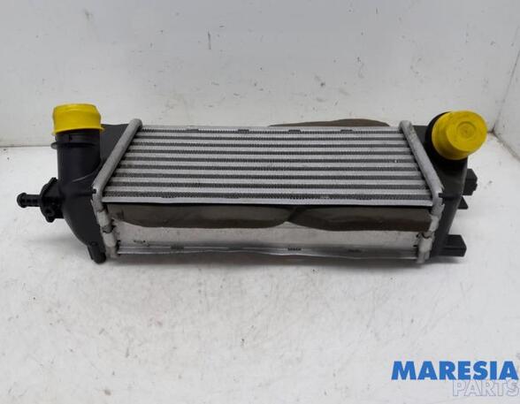 Interkoeler tussenkoeler FIAT PANDA (312_, 319_), FIAT PANDA VAN (312_, 519_)