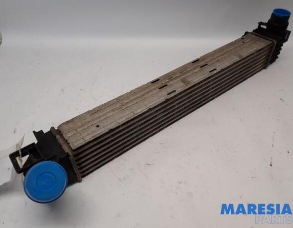 Intercooler RENAULT MEGANE III Coupe (DZ0/1_)