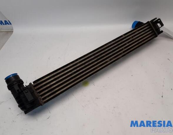 Intercooler RENAULT MEGANE III Coupe (DZ0/1_)