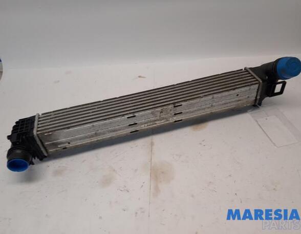 Intercooler RENAULT MEGANE III Grandtour (KZ0/1)