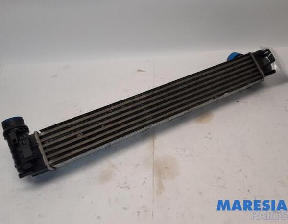 Intercooler RENAULT MEGANE III Grandtour (KZ0/1)