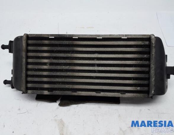 Interkoeler tussenkoeler FIAT 500 (312_), FIAT 500 C (312_), FIAT PANDA (312_, 319_), FIAT PANDA VAN (312_, 519_)