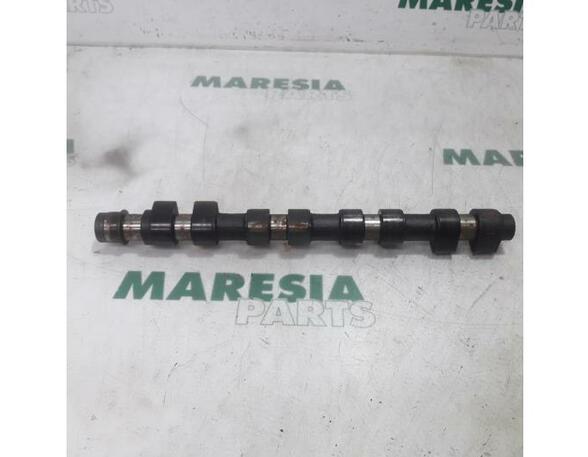 Camshaft FIAT Marea (185)