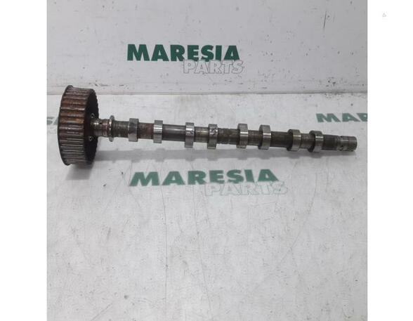 Camshaft RENAULT Scénic I Großraumlimousine (FA0, JA0/1)