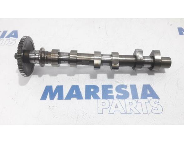 Camshaft RENAULT Captur I (H5, J5), RENAULT Clio IV (BH)