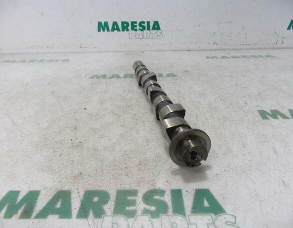 Camshaft FIAT Panda (169)