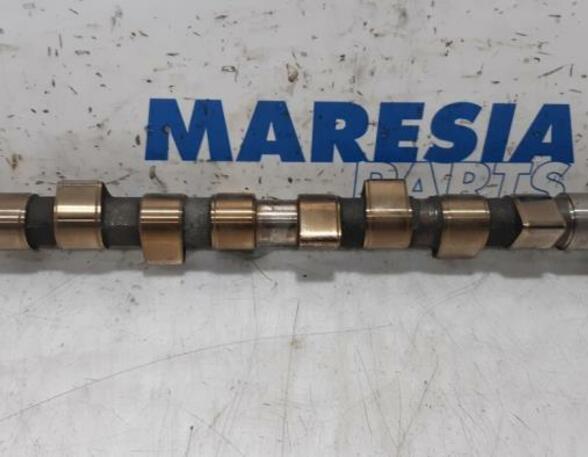 Camshaft FIAT Panda (169)