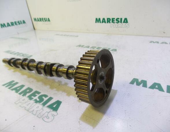 Camshaft RENAULT Clio III (BR0/1, CR0/1)