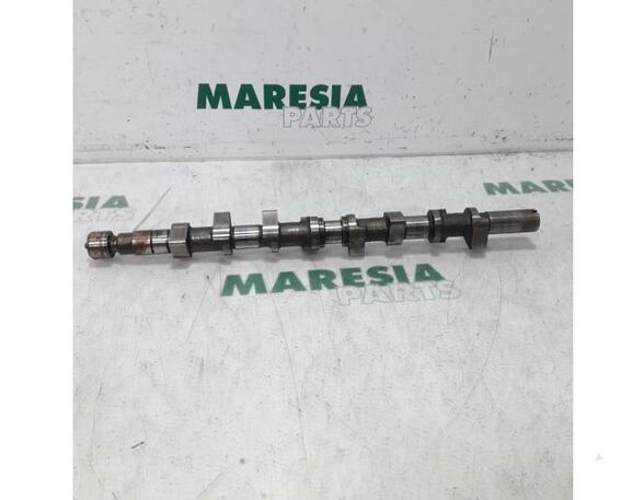 Camshaft RENAULT KANGOO (KC0/1_)