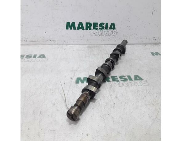 Camshaft RENAULT KANGOO (KC0/1_)