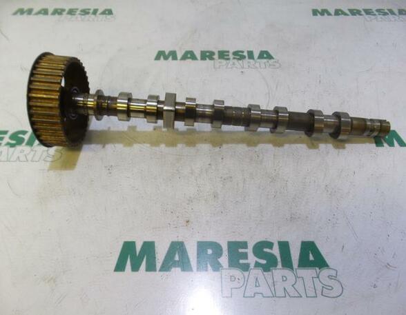 Camshaft RENAULT MEGANE II (BM0/1_, CM0/1_)