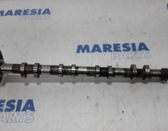 Camshaft CITROËN JUMPER Bus