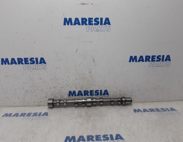 Camshaft FIAT Ducato Kasten (250, 290)