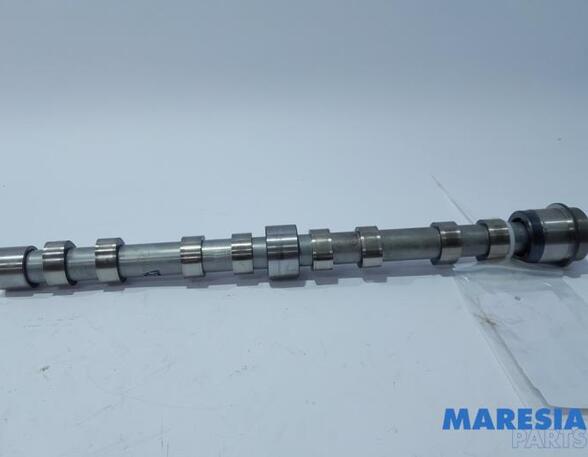 Camshaft FIAT Ducato Kasten (250, 290)