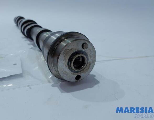 Camshaft FIAT Ducato Kasten (250, 290)