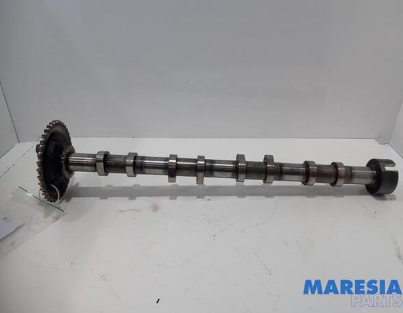 Camshaft CITROËN JUMPER Van