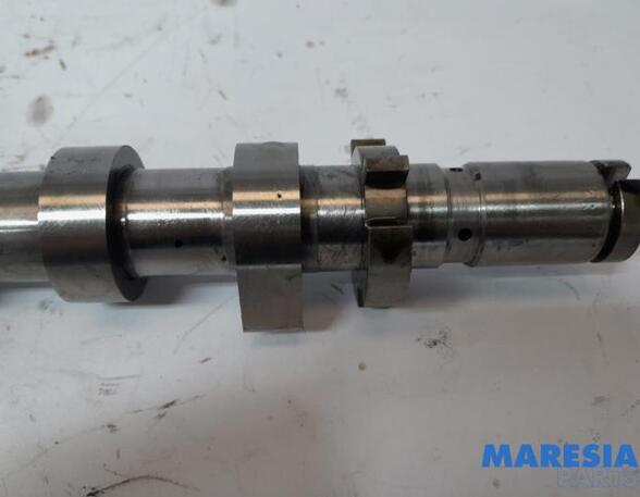 Camshaft RENAULT KANGOO Express (FW0/1_)