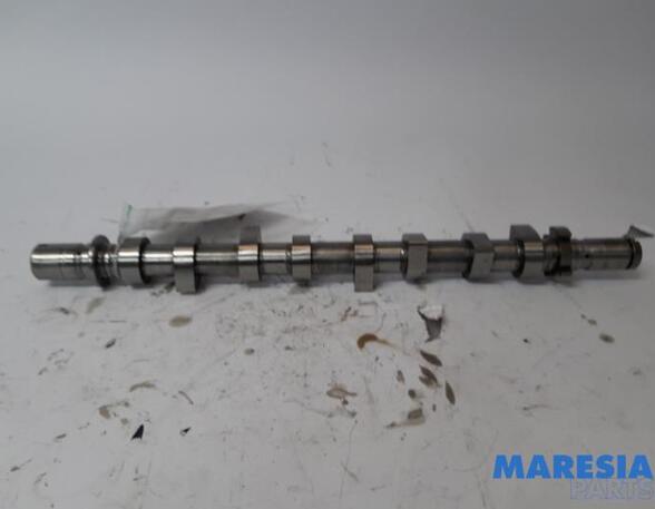 Camshaft RENAULT KANGOO Express (FW0/1_)