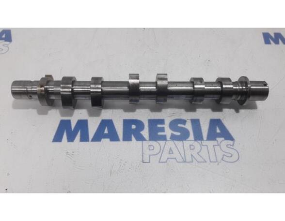 Camshaft RENAULT CAPTUR I (J5_, H5_), RENAULT CLIO IV (BH_)