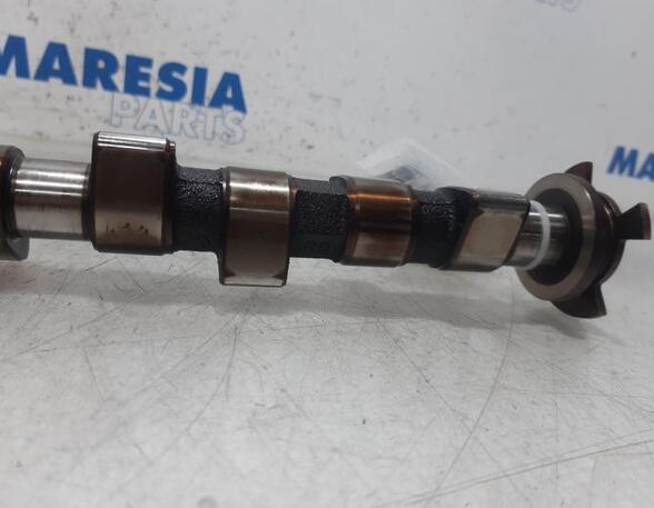 Camshaft FIAT GRANDE PUNTO (199_), FIAT PUNTO EVO (199_), FIAT PUNTO (199_)