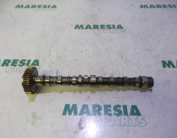 Camshaft FIAT FIORINO Box Body/MPV (225_), FIAT QUBO (225_)