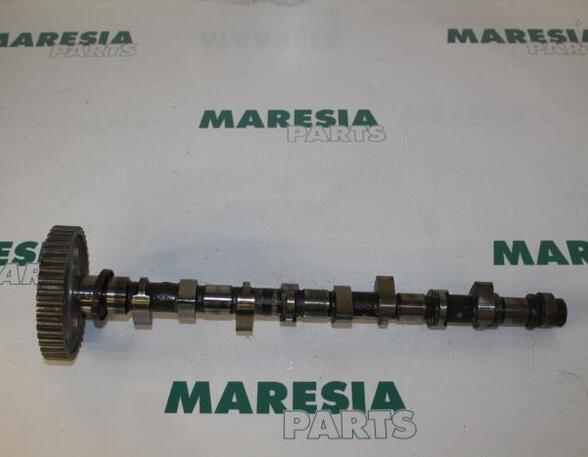 Camshaft FIAT ULYSSE (220_)