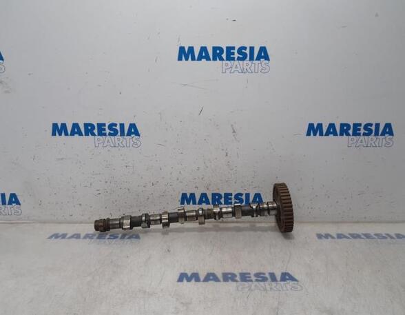 Camshaft FIAT ULYSSE (220_)